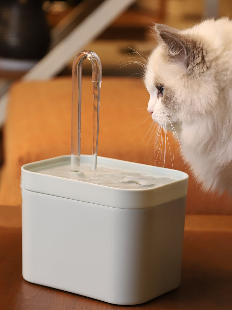 Cat water fountain